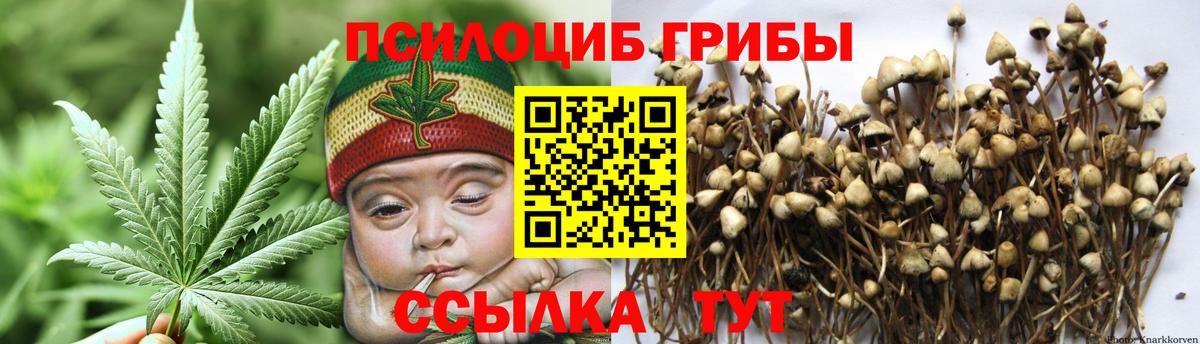 Галлюциногенные грибы Psilocybine cubensis  Вход с VPN  Гагарин 